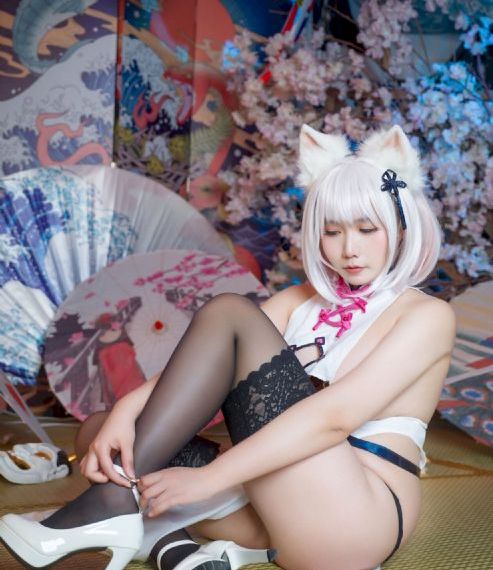 白色橄榄树电视剧免费观看陈哲远