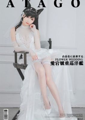 秘密森林韩剧电视剧全集免费播放